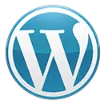 WordPress website development services